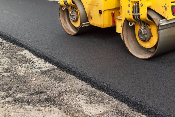 Best Driveway Pavers Near Me  in Bayboro, NC